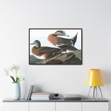 American Widgeon Wall Art, Horizontal Frame