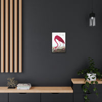 American Flamingo Gallery Canvas